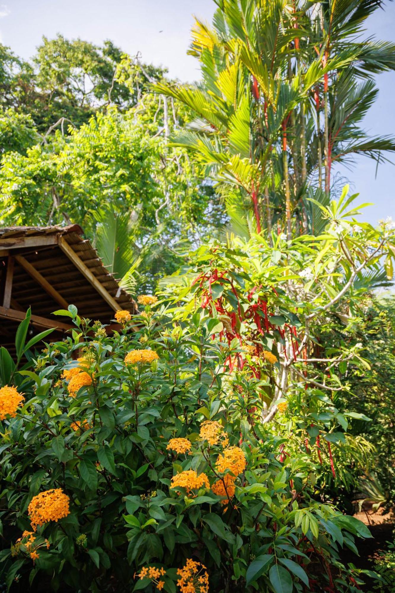 Bungalows Ache Cahuita Exterior photo
